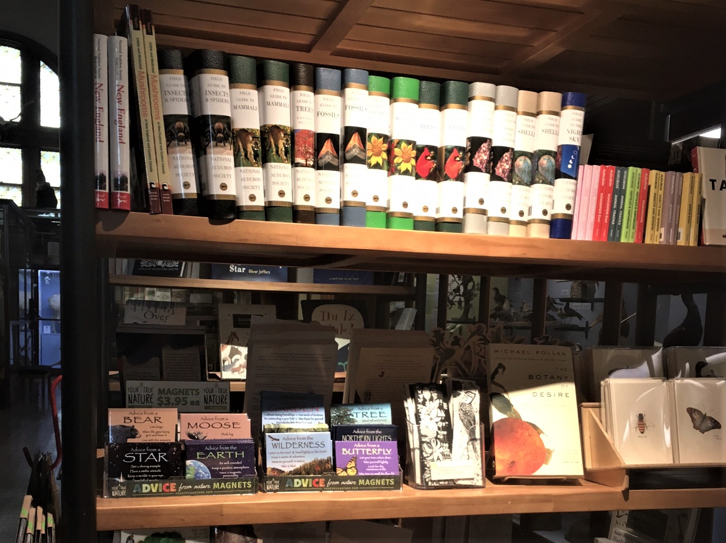 Shelves filled with merchandise at the Museum Store